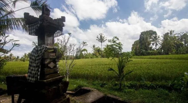 Step Ubud Hotel Mountain View, Prenota Hotel Hotel a Bali con parcheggio, Parcheggio