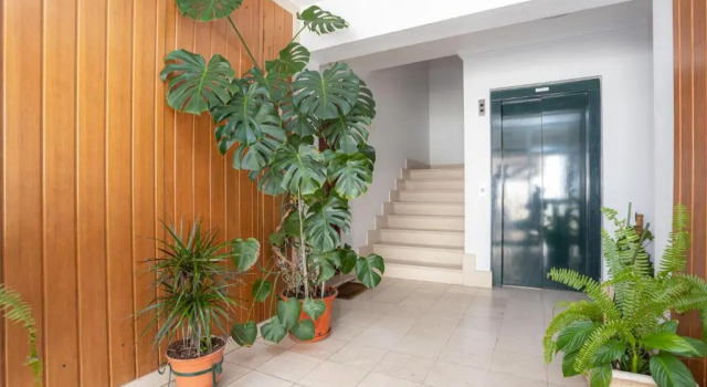 Terrace Bairro Novo by Rent4all, Забронировать Отель Отели Фигейра-да-Фош 4 звезды, рядом с Sotto Mayor Palace, 4*