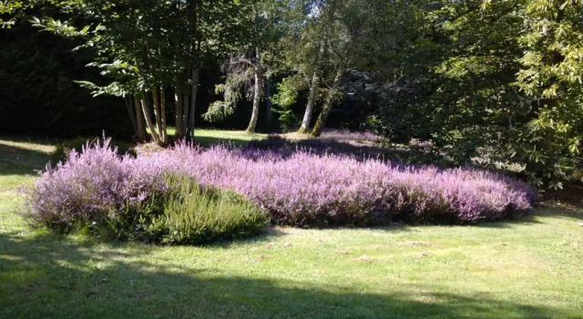Chambres d'Hôtes Le Chalet, Rezerwuj Chalet Domki letniskowe w Condat-sur-Vienne, Domek