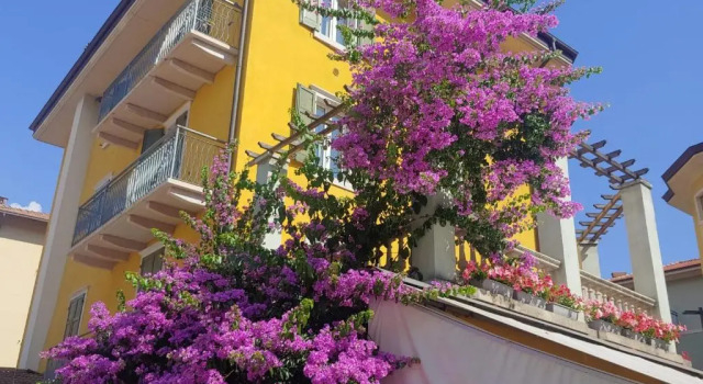 Mansarda Baia Azzurra 8