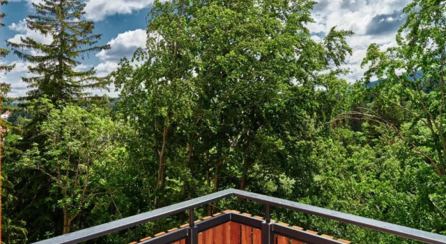 Номер Superior Hotel Bergo Resort & SPA