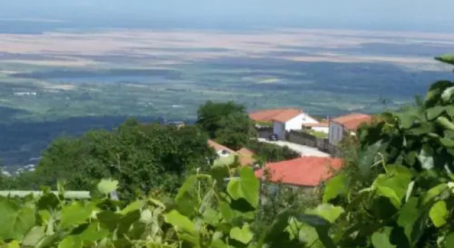Guesthouse Kiko, Book Hotel Cheap Hotels in Kakheti