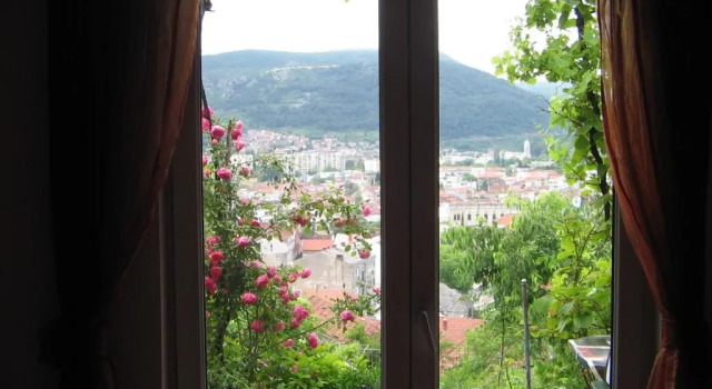 Люкс Guesthouse Panorama