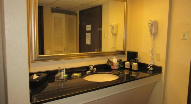 Номер Standard Atrium Hotel and Suites DFW Airport