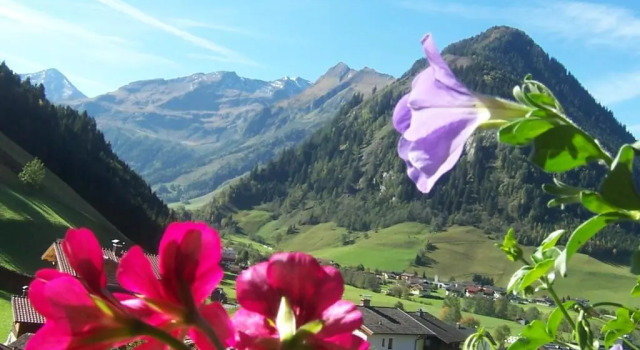 Номер Standard Frühstücks- Pension Sonnblickhof inkl SommerCard