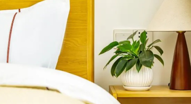 Семейный люкс Dali Bingo Haiyi No.10 Seaview Inn (Dali Bohai Caicun Branch)