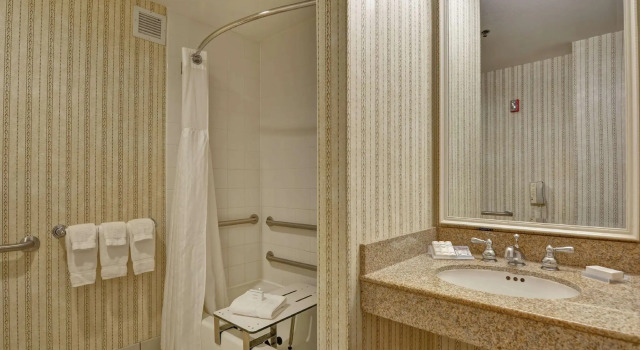 Четырёхместный номер Standard Hilton Garden Inn Green Bay