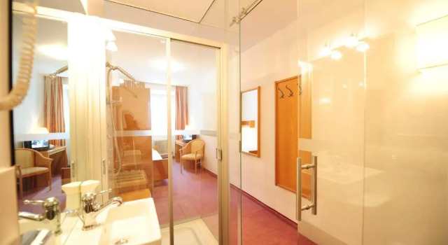 Одноместный номер Standard Hotel Krone