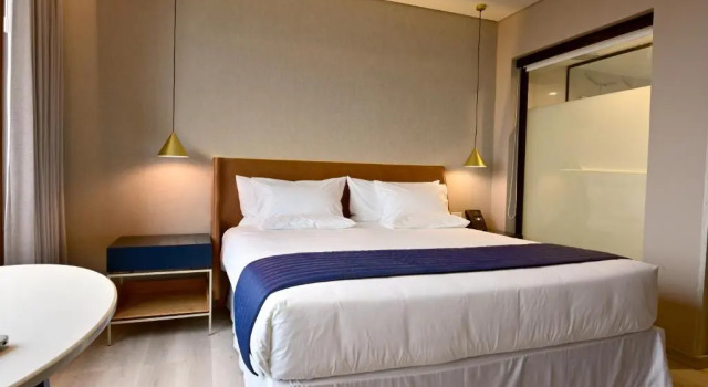Одноместный номер Executive Novotel Santa Cruz De La Sierra