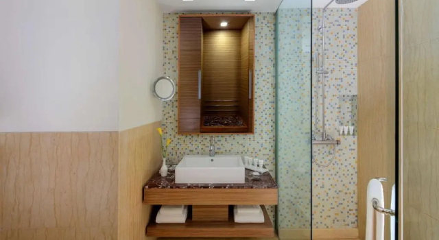 Двухместный номер Superior Radisson Gurugram Udyog Vihar