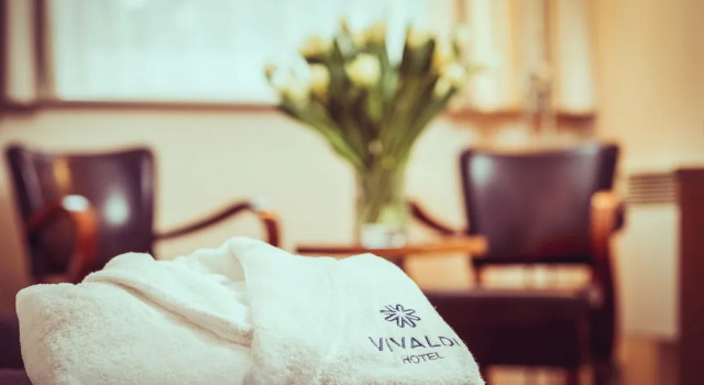 Номер Deluxe Hotel Vivaldi