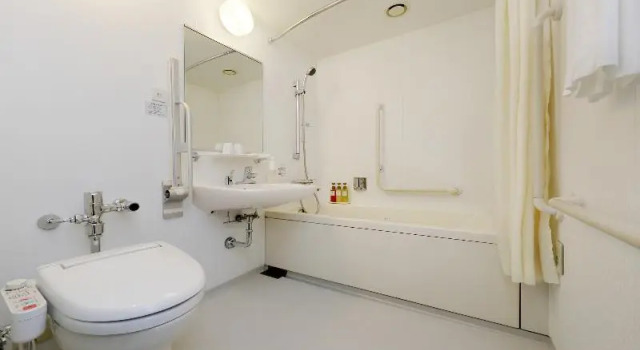 Двухместный номер Universal Keio Presso Inn Ikebukuro