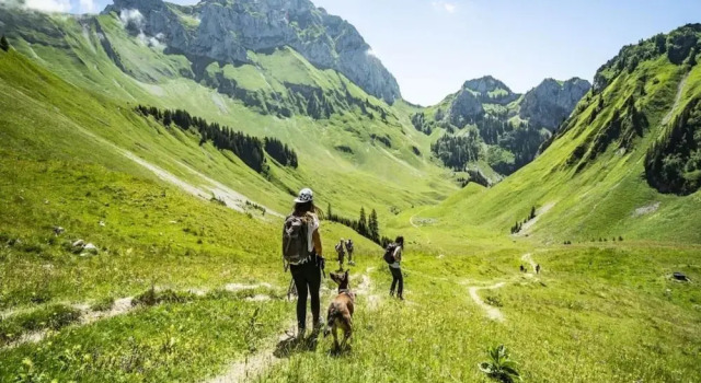 Апартаменты Apartment in Chatel With Valley Views