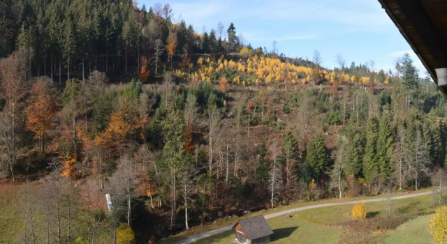 Полулюкс Landhaus Eickler