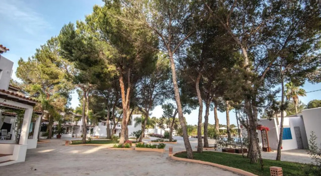 Номер Standard Bungalows Es Pins - Emar Hotels