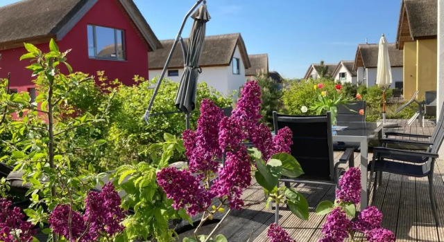 Коттедж Ostsee - Reetdachhaus Nr 10 "Reethus Sonnendüne" im Strand Resort