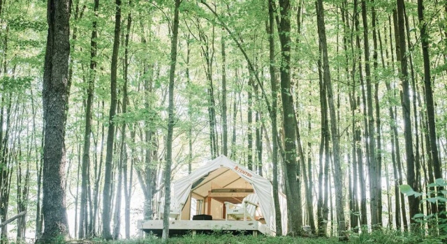 Tentrr â Hollow Tree Camp, Reserva ahora Hotel Waymart Pensilvania