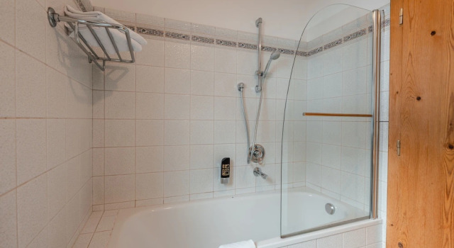 Семейные апартаменты c 1 комнатой с балконом и с видом на горы B&B Hotel Bergjuwel