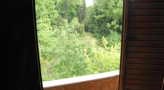Номер Standard Hotel Livia