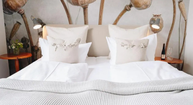Номер Standard Boutiquehotel Kloster Pfalzel