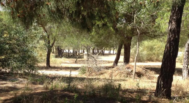 Коттедж Beach House - Tavira Island