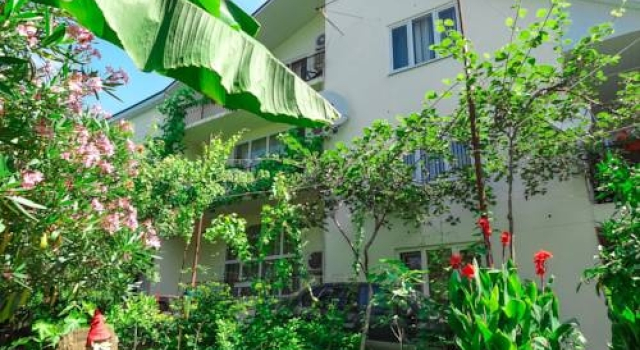 Delfin Guest House, Забронировать Гостевой дом Сочи Большой Сочи