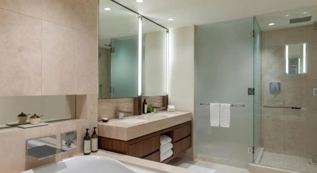 Двухместный номер Deluxe с видом на город Park Hyatt Chicago