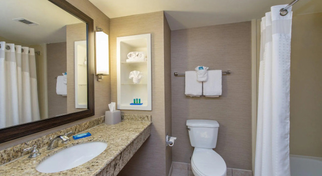 Двухместный люкс c 1 комнатой Holiday Inn Express Hotel & Suites Auburn by IHG