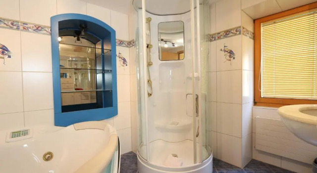 Номер Superior Hotel Alpina