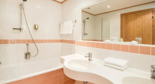 Полулюкс Superior Hotel Alpenhof