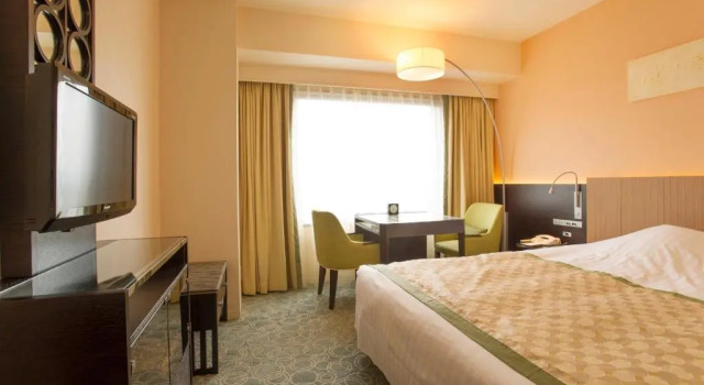Одноместный номер Deluxe JR Hotel Clement Tokushima