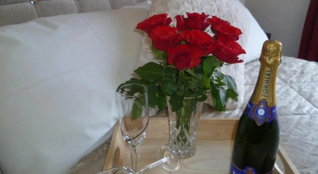 Двухместный номер Standard с видом на сад Aberllynfi Riverside Guest House