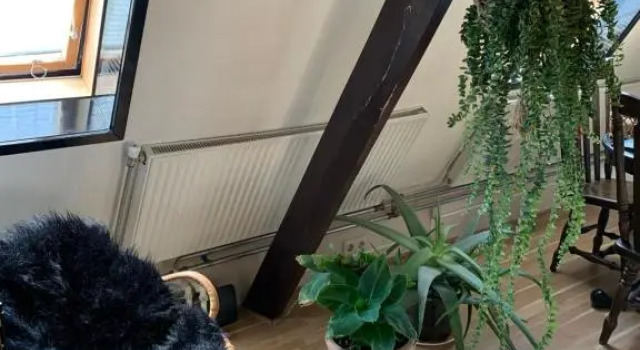 City Guesthouse, Boek Hotel Hotels in Salland met zwembad, Zwembad