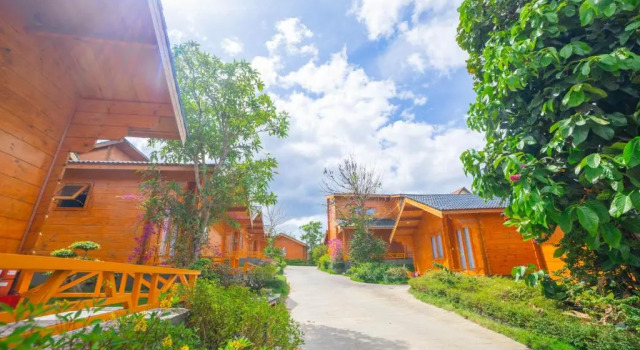 Семейный номер Standard Tea Resort