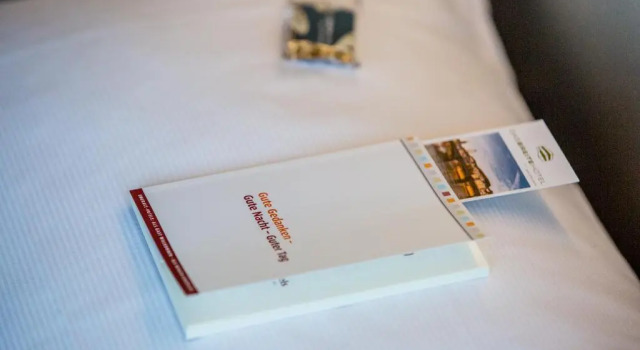 Одноместный номер Standard Dasbreitehotel am Rhein