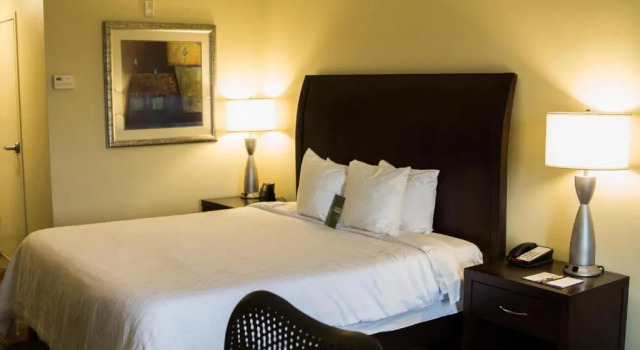 Двухместный номер Premium Hilton Garden Inn Clarksville