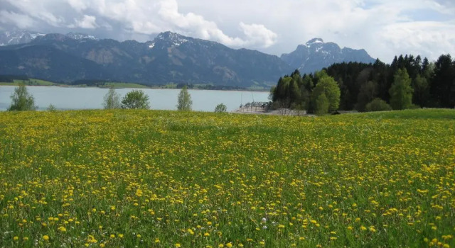 Апартаменты Haus Deutsch Berg-See- und Schloss Neuschwanstein Nähe