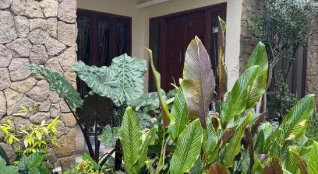 Rumah Cahaya Syariah