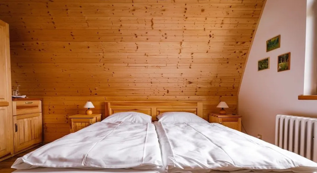 Номер Classic SPA Pod javory