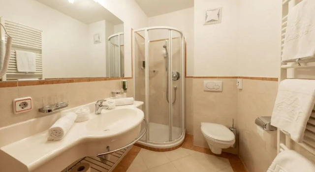 Номер Standard Almhotel Glieshof