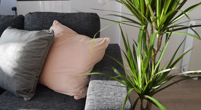 Апартаменты с балконом Morland House Apartments