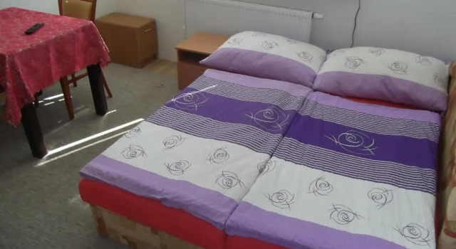 Номер Standard Penzion Apartmány Zlín