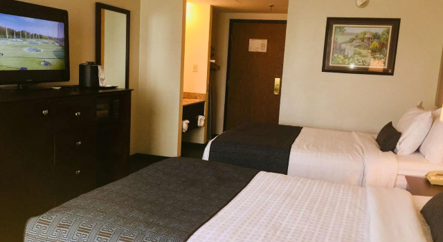Четырёхместный номер Standard Wyndham Garden Williamsburg Busch Gardens Area