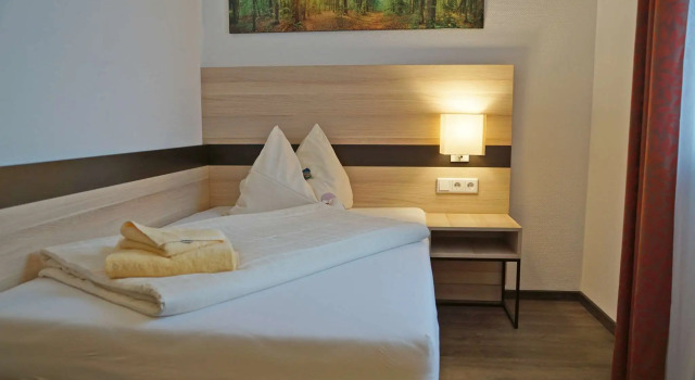 Одноместный номер Comfort TaunusTagungsHotel