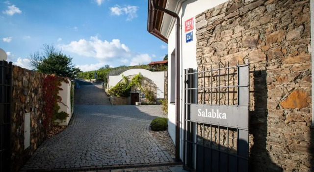 Апартаменты Apartmány Vinice Salabka