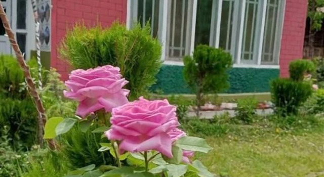 Buddha Rock Guest House, Buchen Sie Pension Hotels in Azad Jammu and Kashmir mit Pool, Schwimmbad