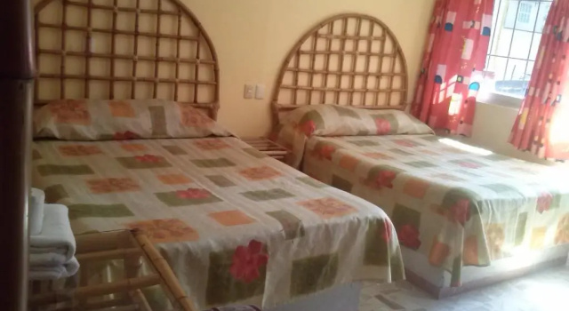 Четырёхместный номер Standard Hotel Angela Carolina