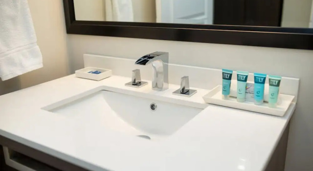 Двухместный номер Standard с видом на сад Royal Inn & Suites