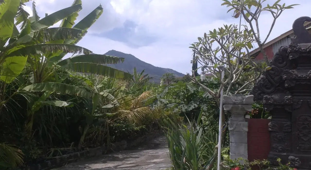 Volcano Hostel, Buchen Sie Hostel Hostels in Bangli, Hostel