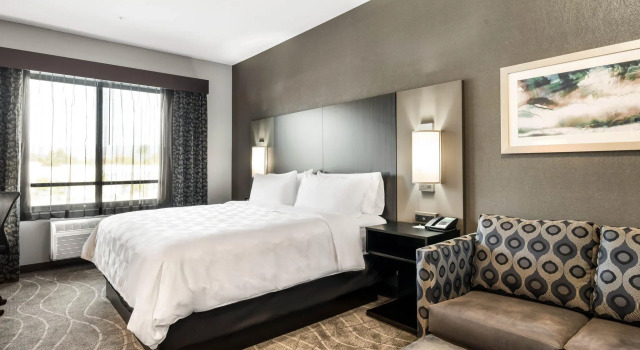 Двухместный люкс Holiday Inn & Suites Silicon Valley - Milpitas by IHG